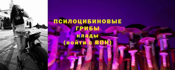 бошки Богданович